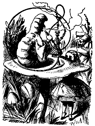 319x423 Alice In Wonderland