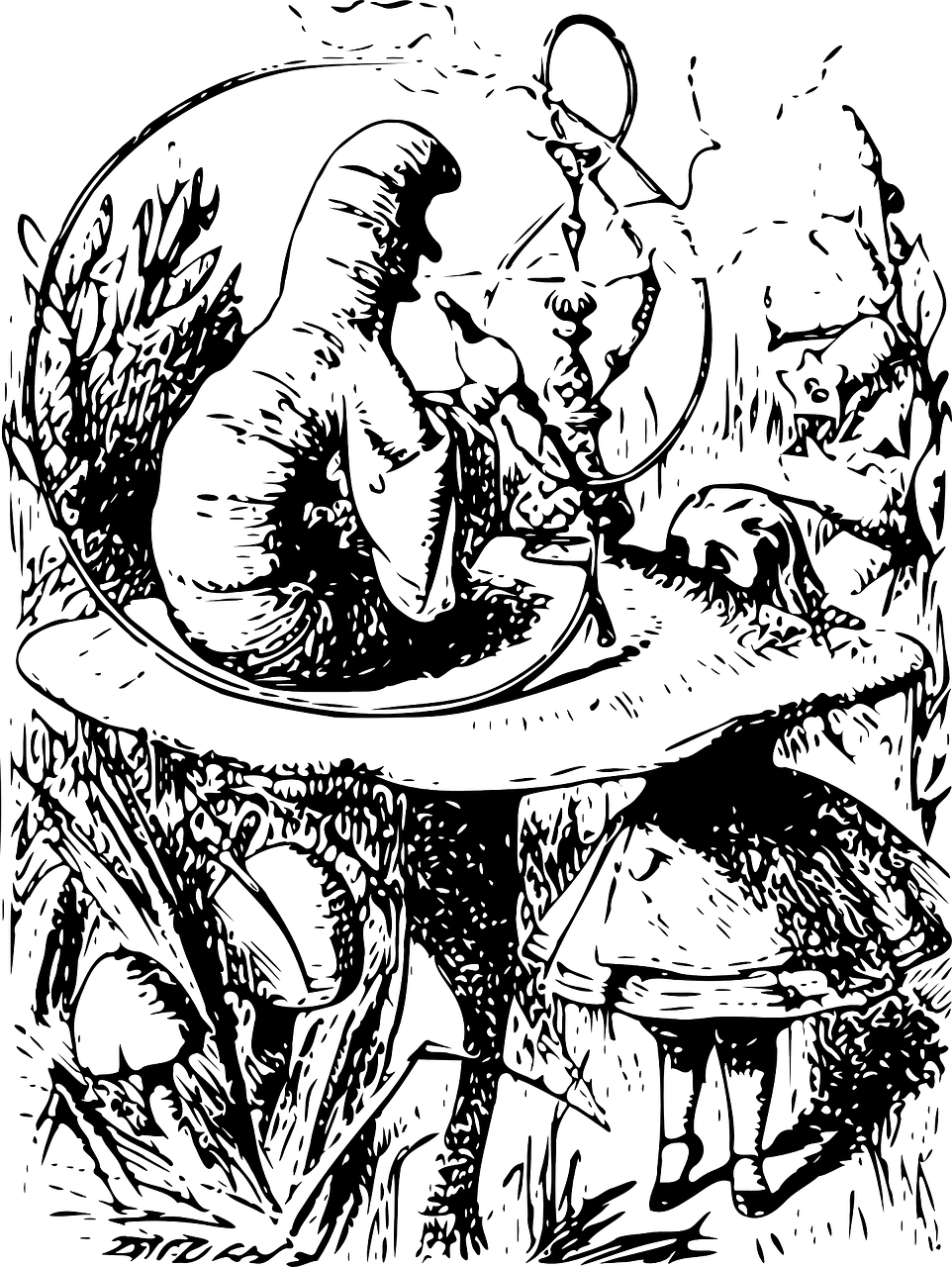 962x1280 Wonderland Caterpillar