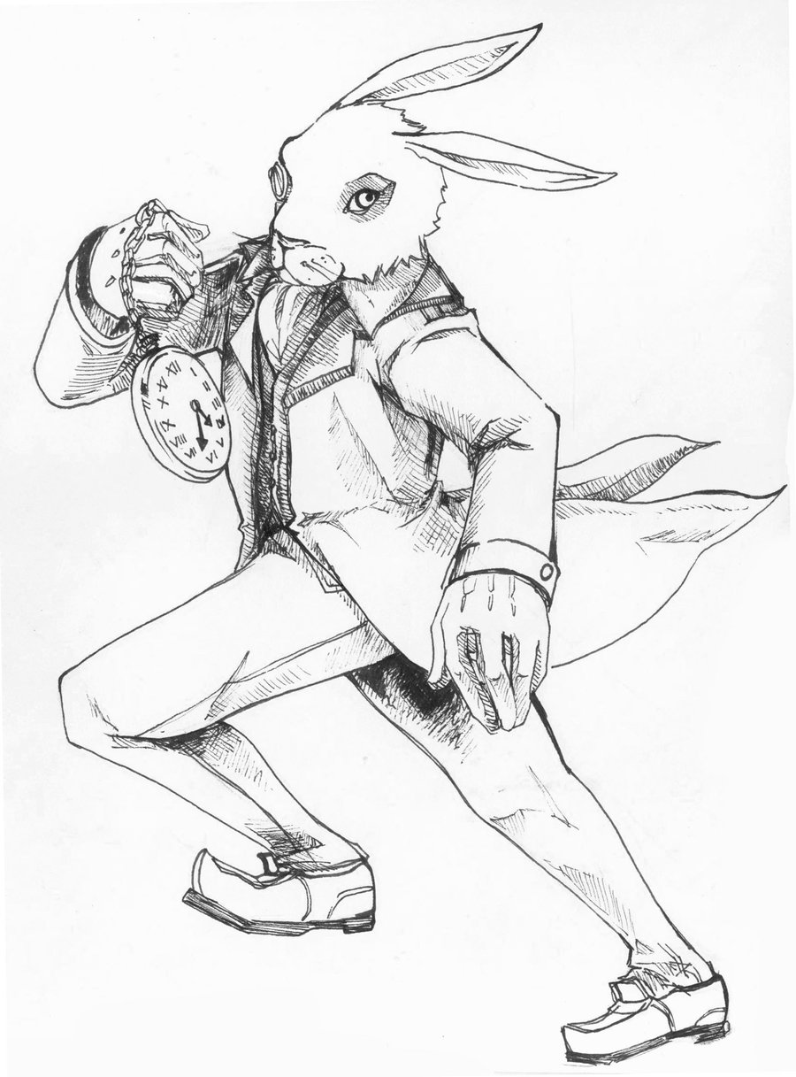 900x1217 White Rabbit Drawing