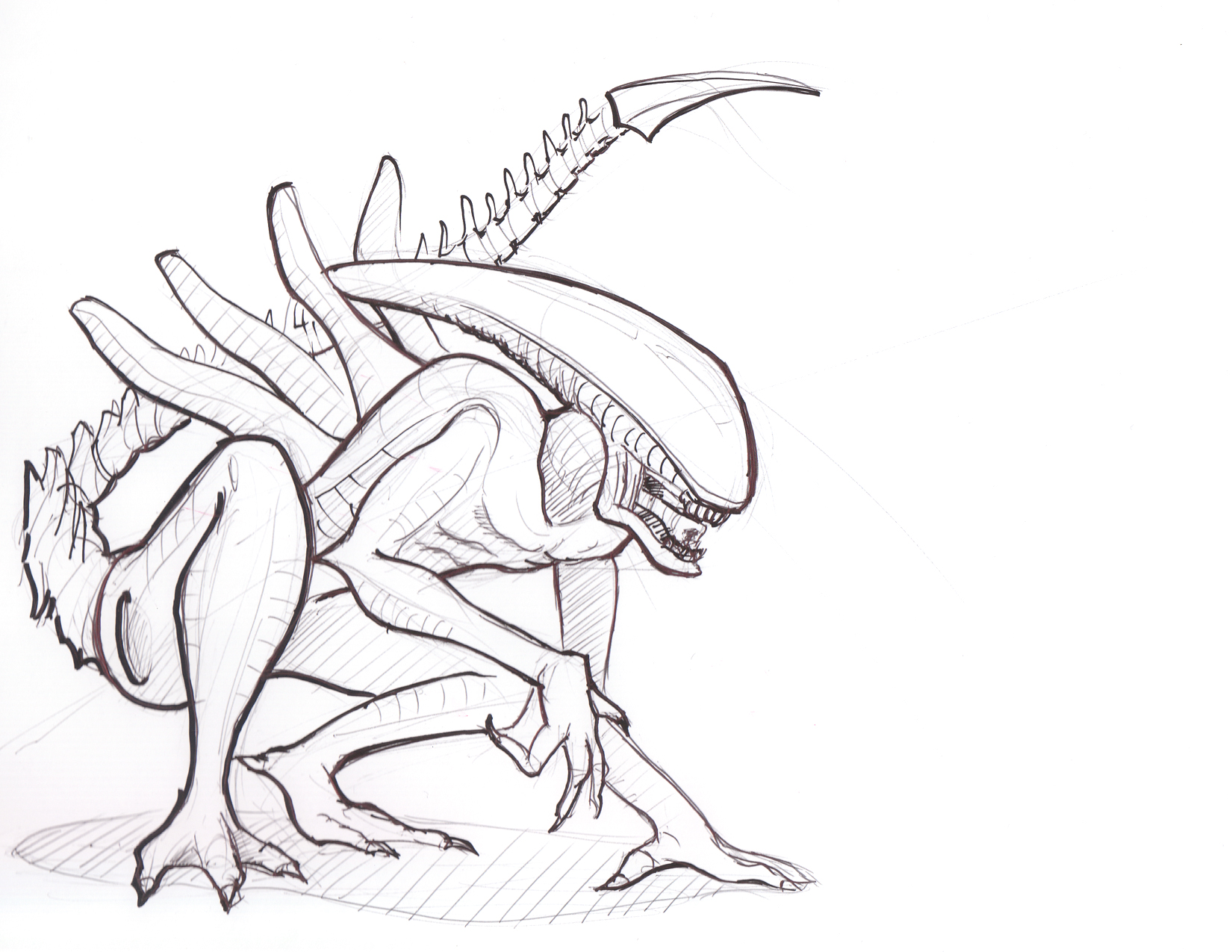 1650x1275 Aliens Vs. Predator Lineweights