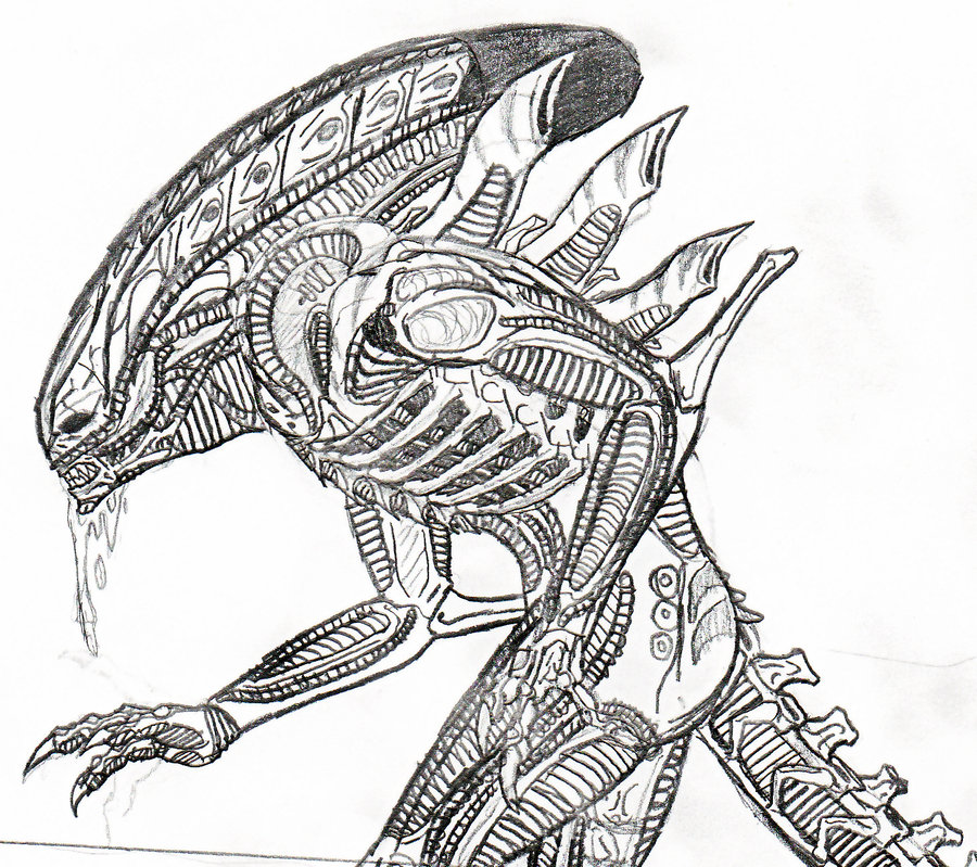 900x799 New Alien Sketch By Titanosaur