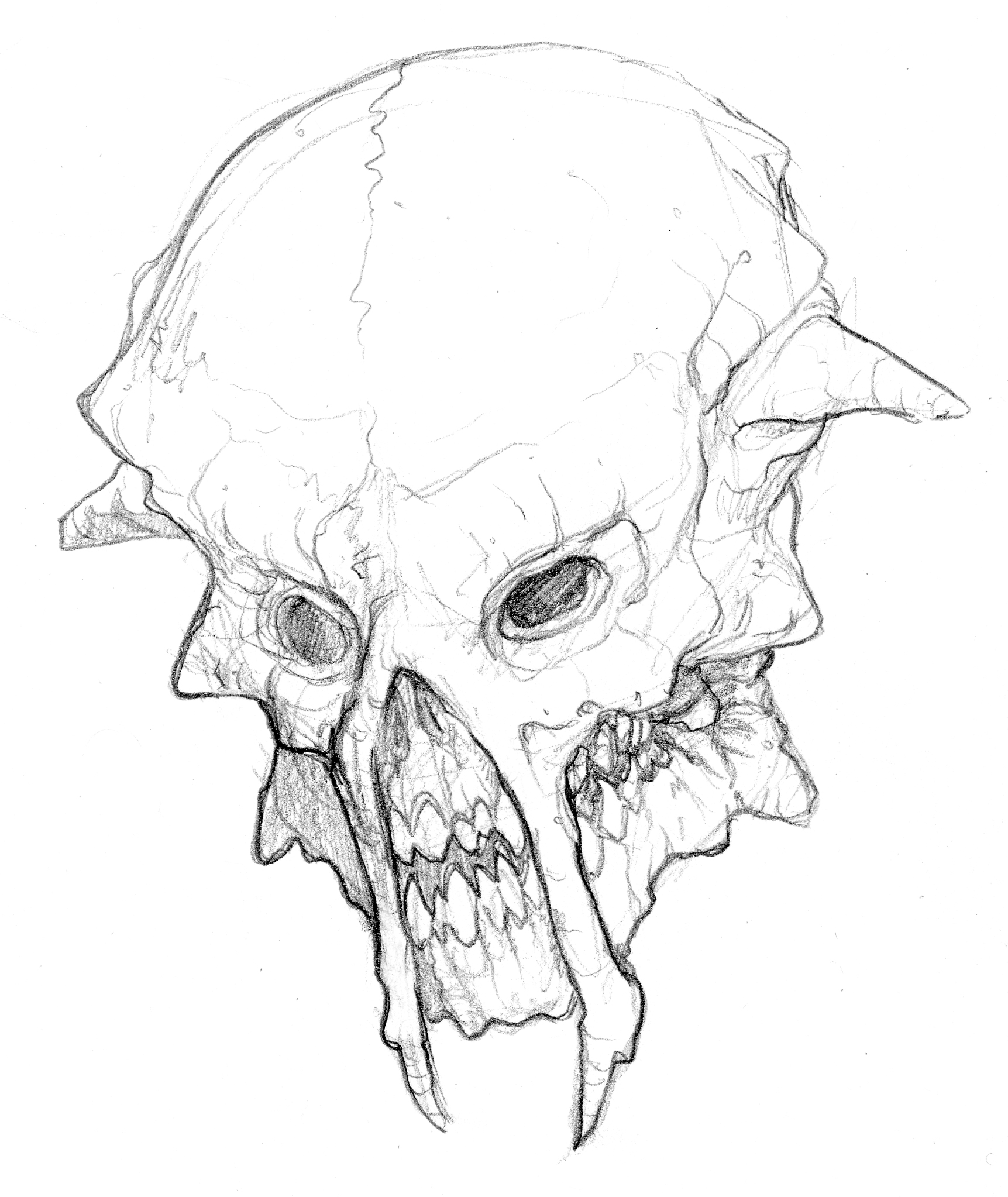 1723x2046 Alien Skull By Conejoblanco