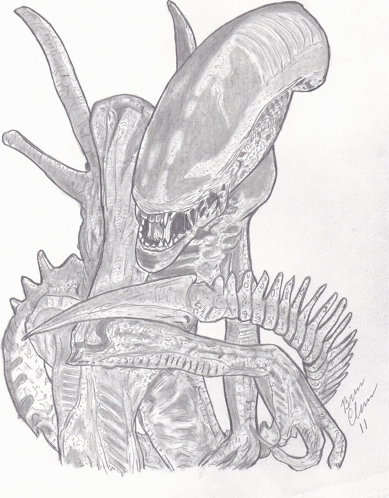 790x1011 Alien By Selector67