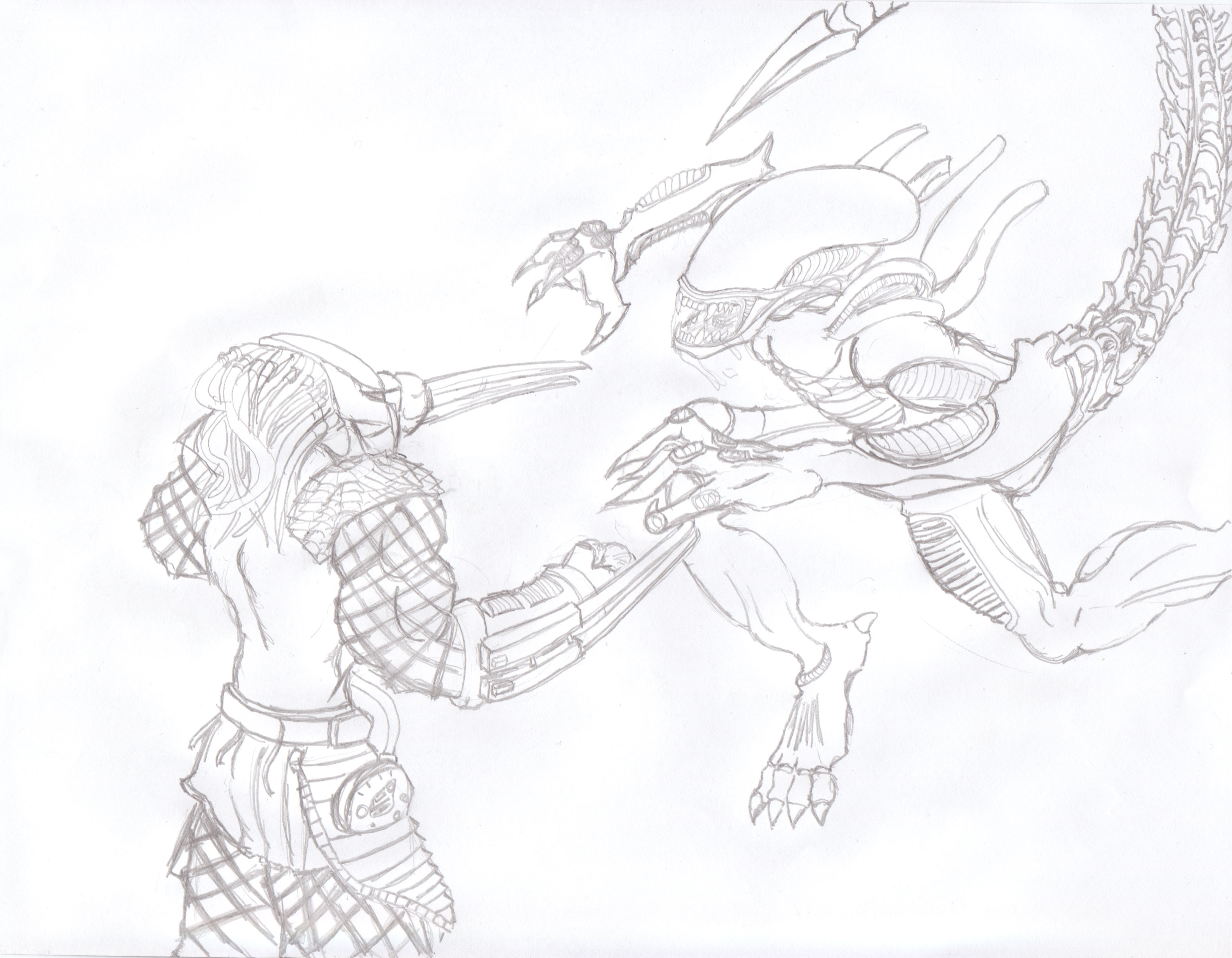 3259x2534 Alien Versus Predator Sketch By Llann