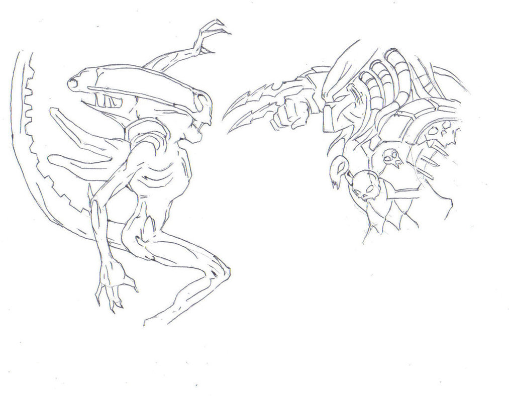 1013x788 Avp (Alien Vs Predator Drawing) By Electronicdave