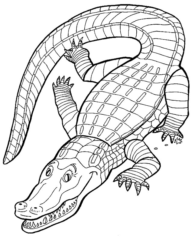 635x781 Crocodile Drawings For Kids Many Interesting Cliparts