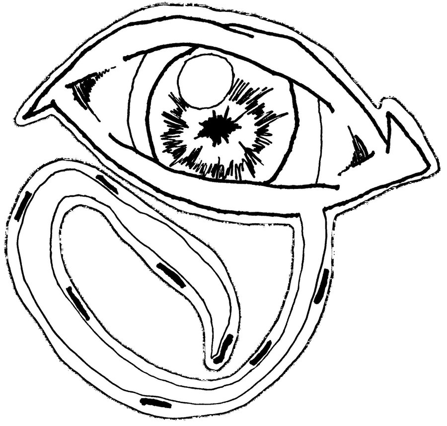 900x857 The All Seeing Eye 2 By Neko Of Lotherian