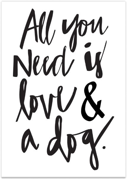 430x605 Motivational Quotes All You Need Is Love And A Dog Quotes