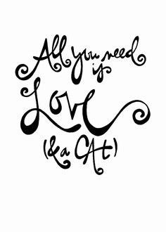 236x330 All You Need Is Love And A Cat