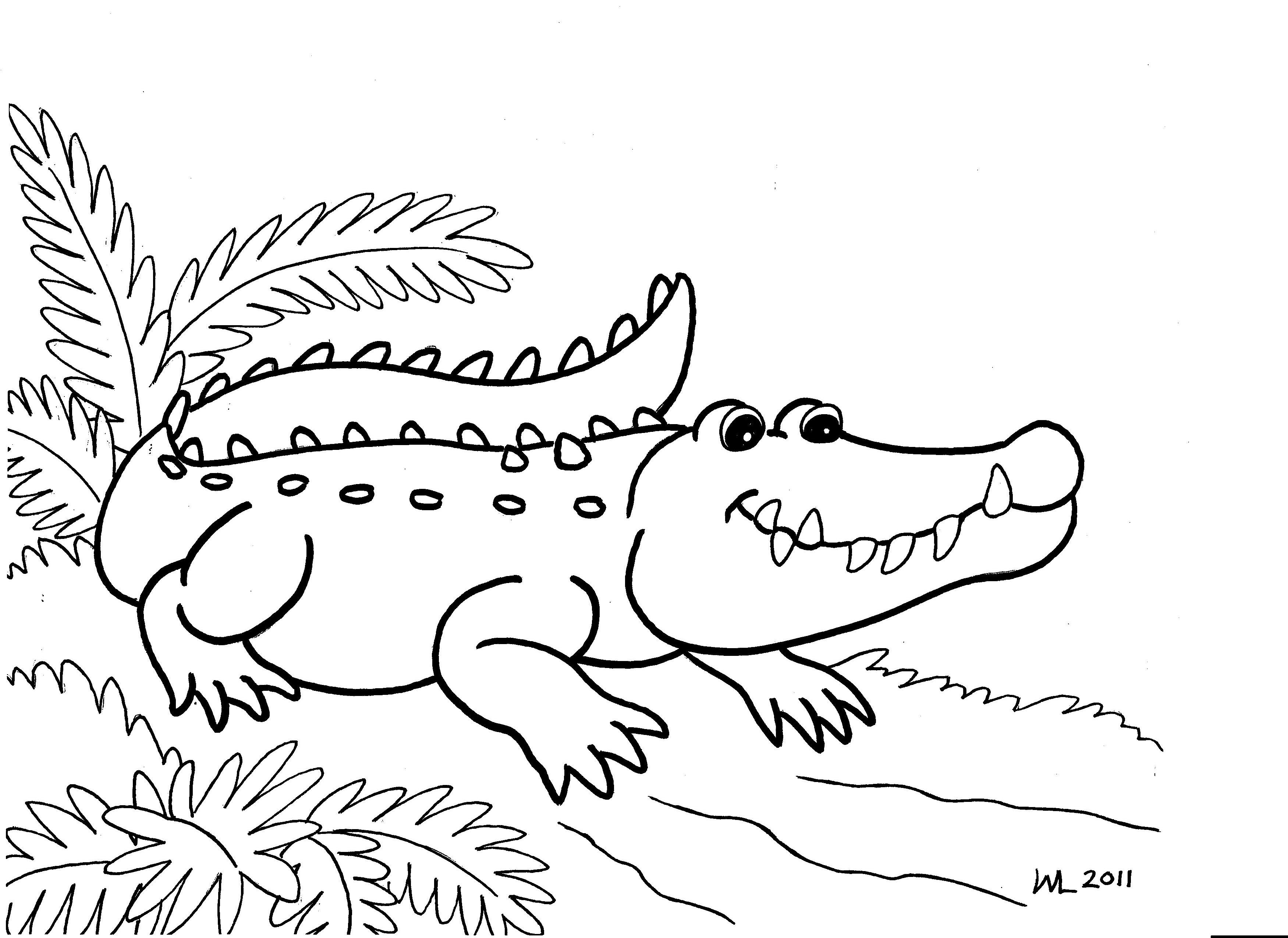 3501x2550 Girl Cartoon Alligator Coloring Pages Simple Alligator Coloring