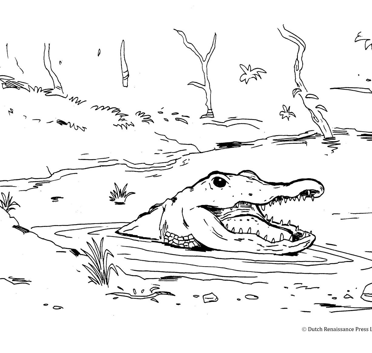 1224x1159 Good Alligator Colorings For Your Picture Free Printable Coloring