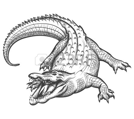 450x400 Hand Drawn Crocodile. Alligator Animal, Predator Reptile