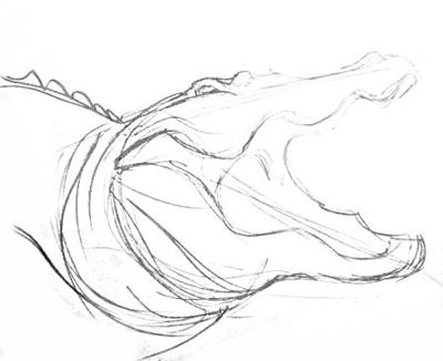 400x326 Learn How To Draw A Crocodile