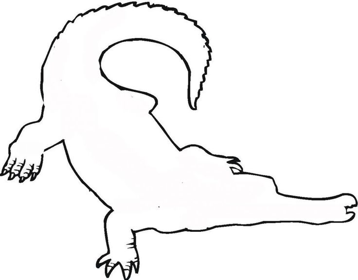 736x575 61 Best Crocodile Tattoo Outline Images On Crocodile
