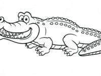 200x150 Aligator Coloring Pages New Good Alligator Coloring Pages 71