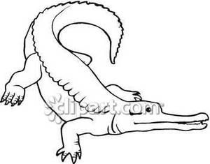 300x235 Alligator Outline Cute Alligator Outline Crocodile Tattoo