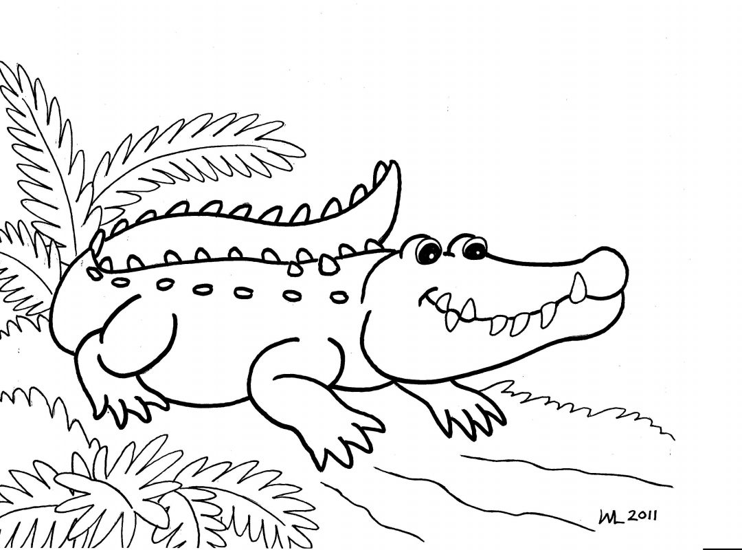 1080x800 Beautiful Crocodile Coloring Page In Free Book Printable Download
