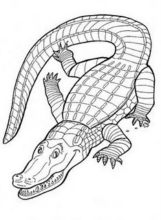 234x320 Crocodile Coloring Pages Kids.jpg Ms Crocodile
