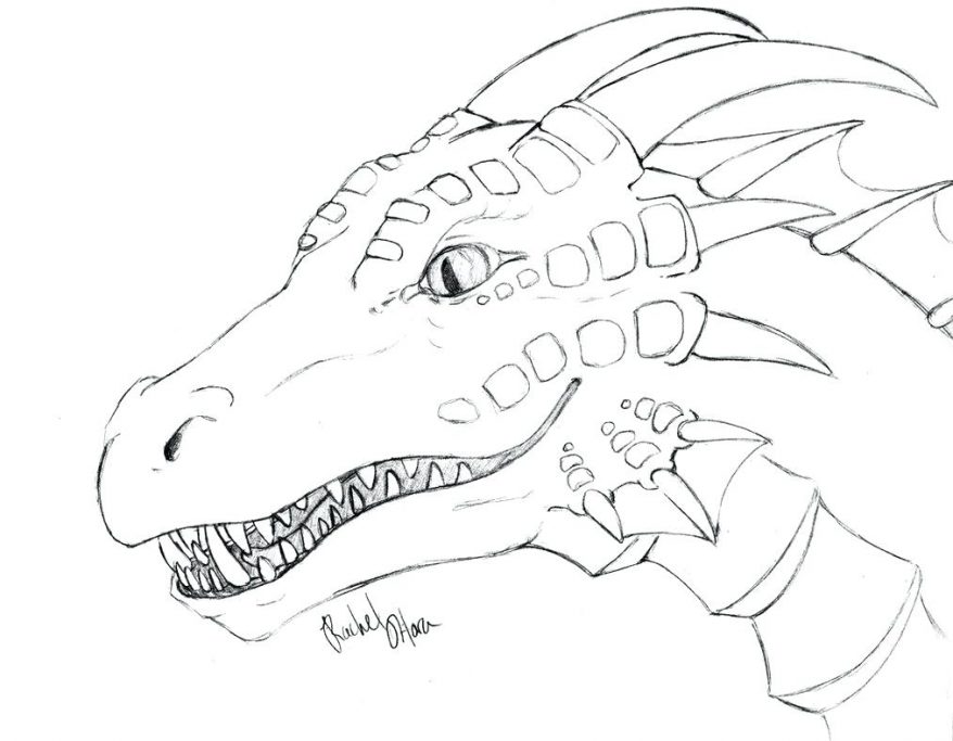 878x683 Free Coloring Pages Of Dragon Outline 111 Remarkable Alligator