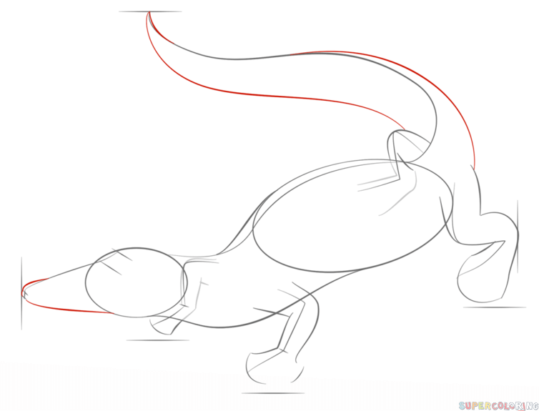 754x575 How To Draw A Realistic Alligator Step By Step Drawing Tutorials