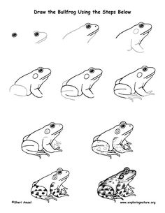 236x305 How Draw An Alligator For Kids Step By Step Tutorial How