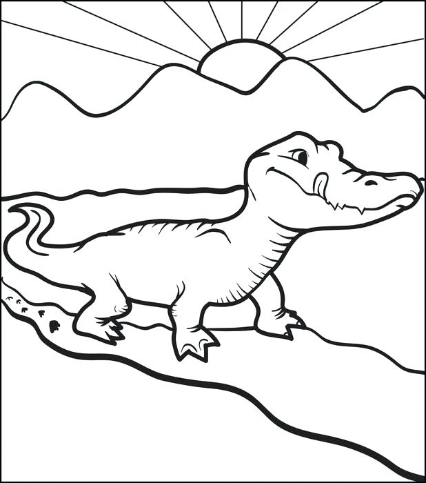 618x700 Alligator Coloring Alligators Coloring Page Alligator Coloring