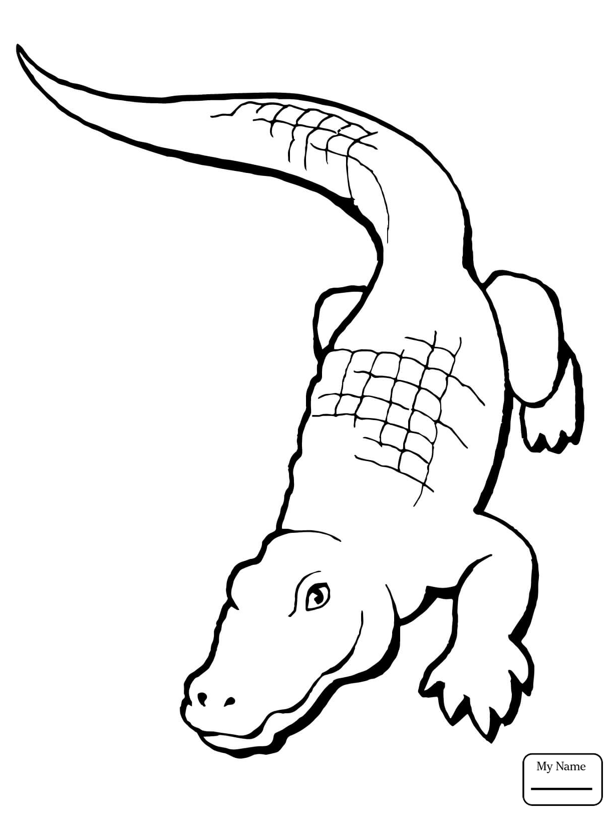 1224x1632 Alligators Cartoon Alligator Reptiles Coloring Pages For Kids