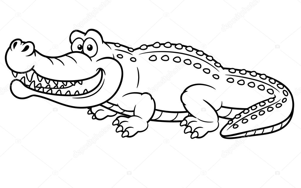 1024x640 Alligator Stock Vectors, Royalty Free Alligator Illustrations