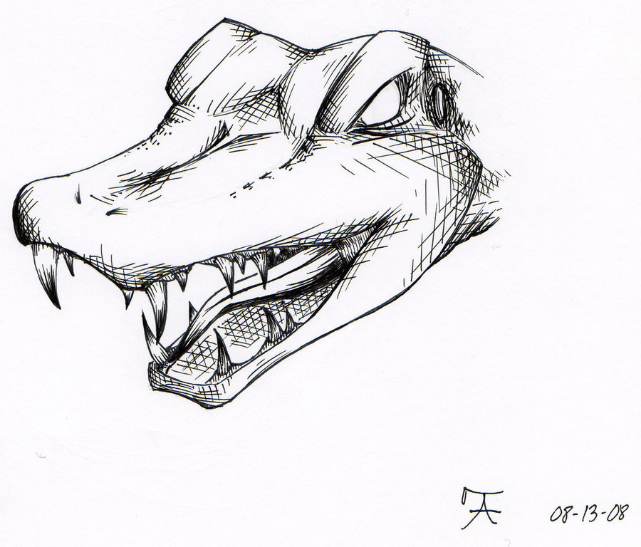 900x768 Alligator Tattoo Design By Raukozan