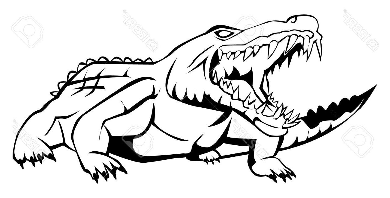 1300x662 Best Hd Alligator Drawing Vector Design
