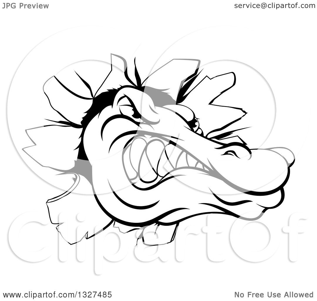 1080x1024 Clipart Of A Black And White Alligator Or Crocodile Head Breaking