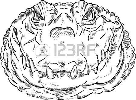 450x331 Crocodile Head Isolated On Background Royalty Free Cliparts