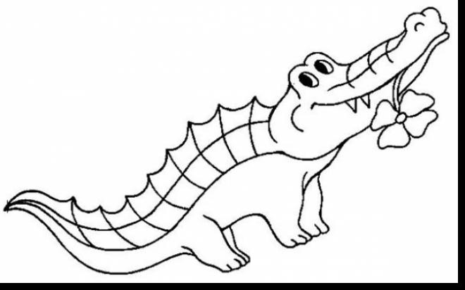 660x412 Alligator Head Coloring Pages