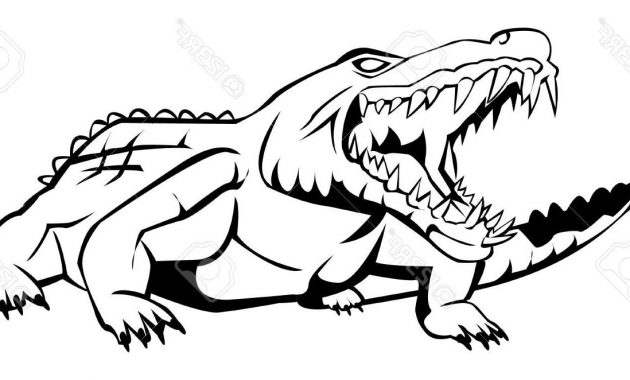 630x380 Alligator Drawing Vector Archives