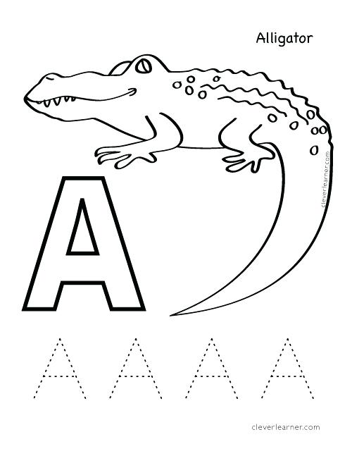 500x647 Alligator Coloring Book Genesisar.co