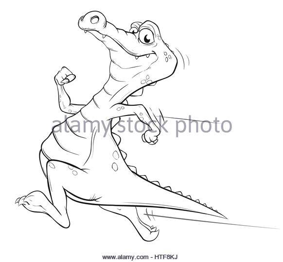 582x540 Alligator Zoo Stock Photos Amp Alligator Zoo Stock Images