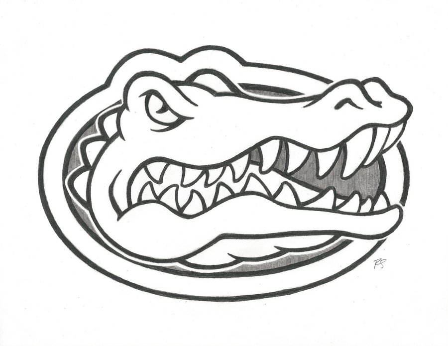 Alligator Line Drawing at GetDrawings | Free download