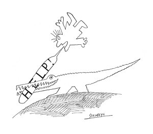 300x263 Alligator Drawings Fine Art America