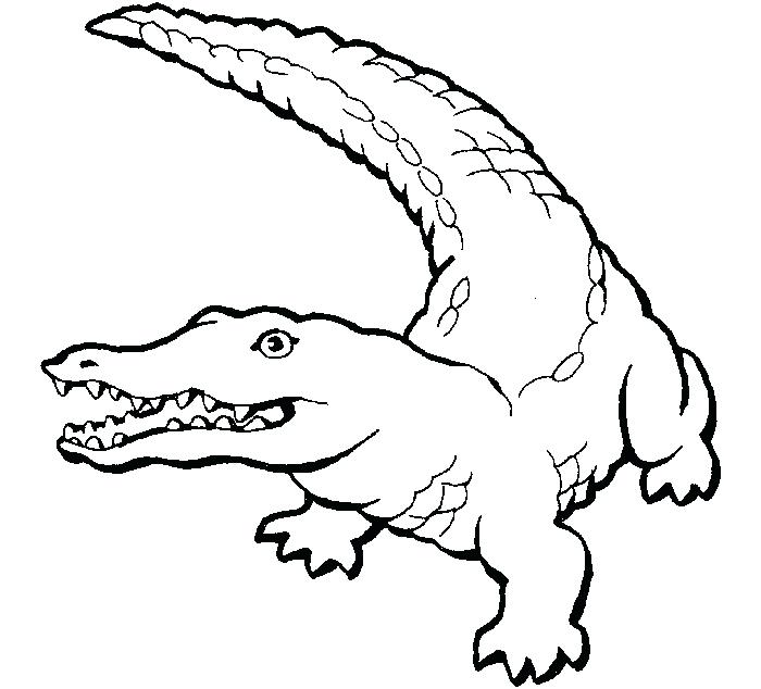 700x634 Cheap Alligator Coloring Pages Online Pictures Vector Of A Cartoon