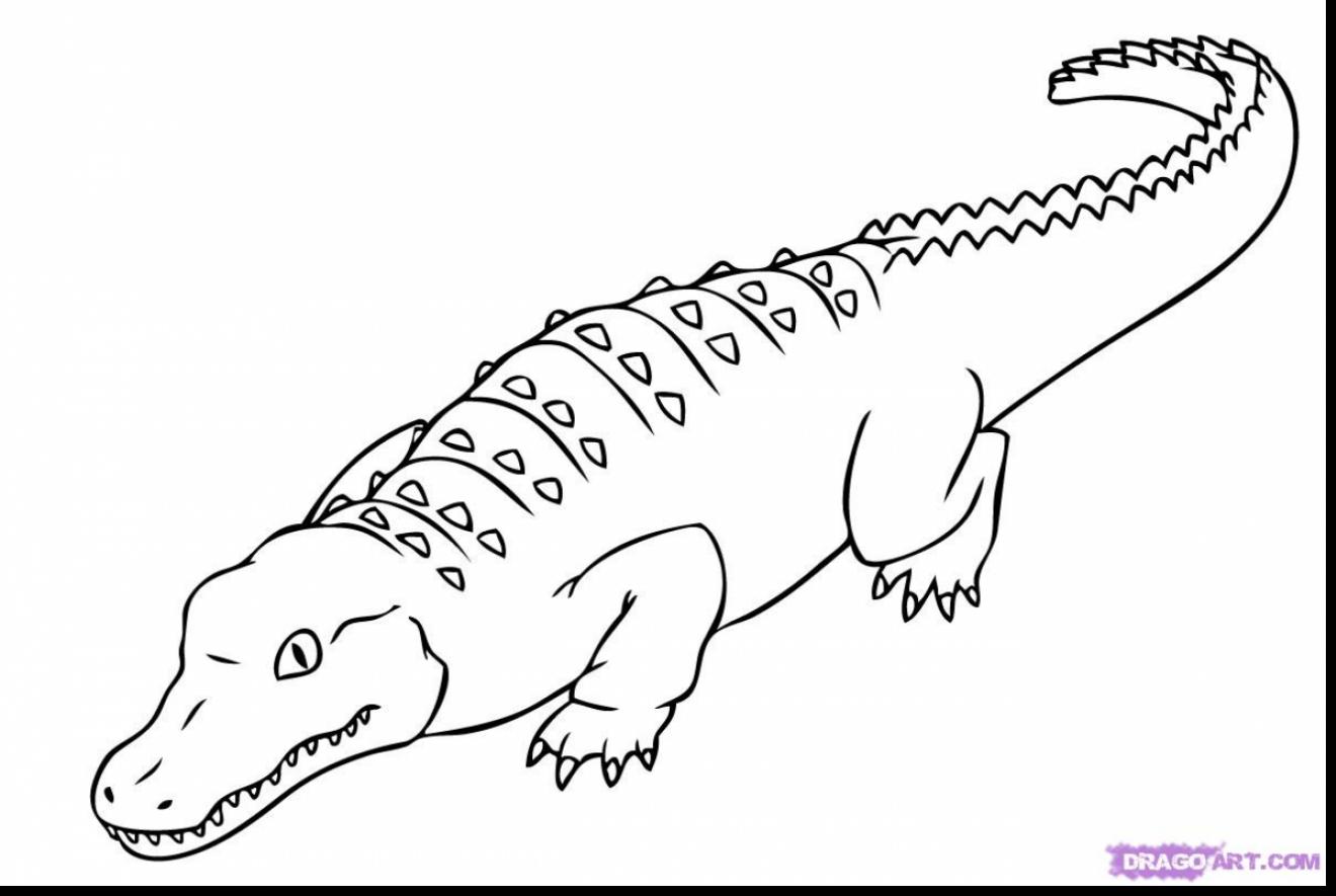 1320x885 Crocodile Drawing