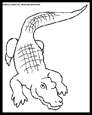 320x400 Best Photos Of Printable Zoo Animal Outlines