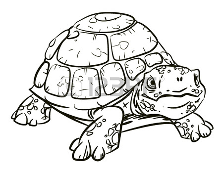 Alligator Snapping Turtle Drawing at GetDrawings | Free download