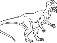 200x150 Allosaurus Coloring Pages Fresh T Rex Free Printable Realistic