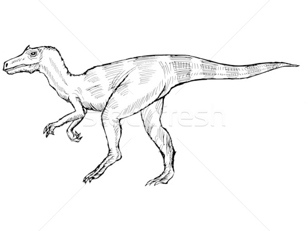 600x450 Allosaurus Stock Photos, Stock Images And Vectors Stockfresh