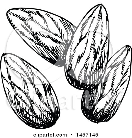450x470 Clipart Of Cartoon Almonds With Leaves