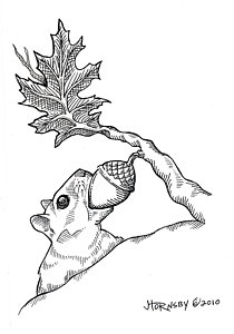 210x300 Nut Tree Drawings Fine Art America