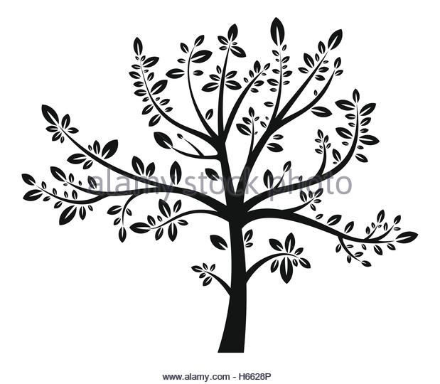 Almond Tree Drawing at GetDrawings | Free download