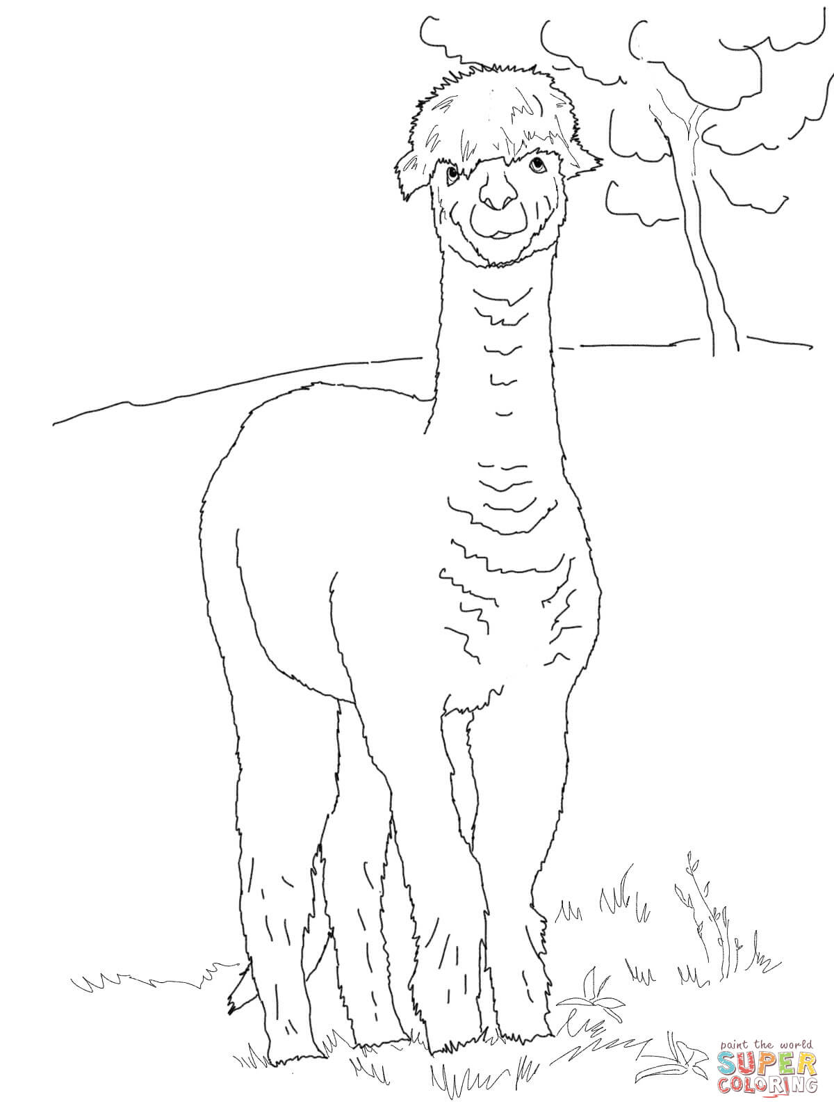 1200x1600 Funny Alpaca Coloring Page Free Printable Coloring Pages