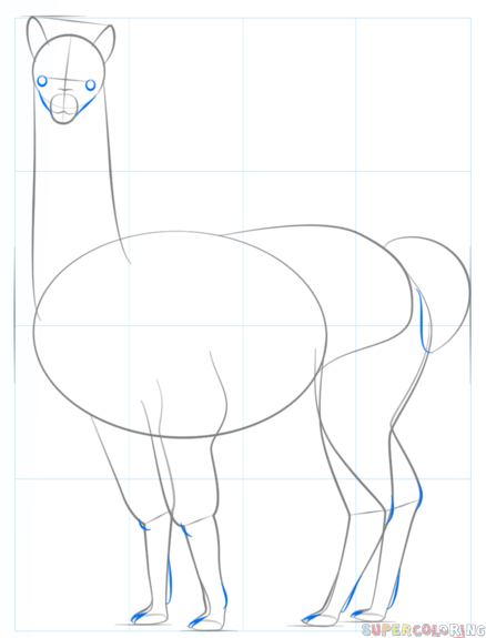 438x575 How To Draw An Alpaca Step By Step. Drawing Tutorials For Kids
