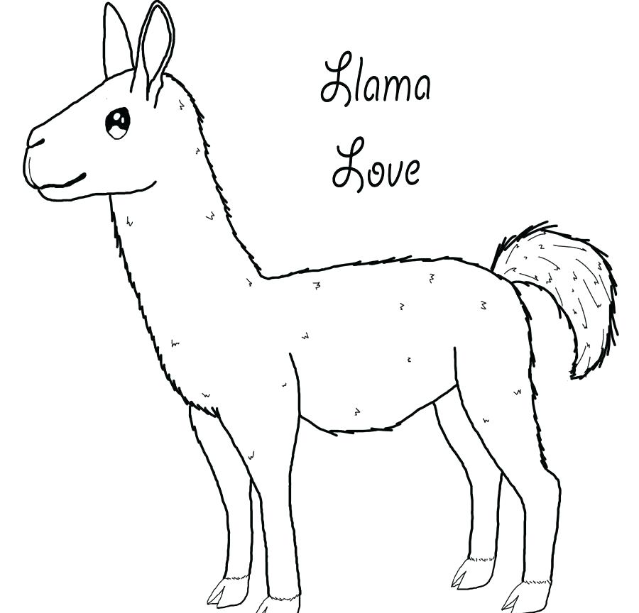 900x864 Alpaca Coloring Pages